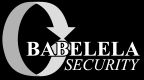 CompanyName